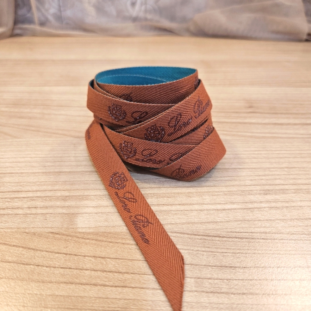 Loro Piana Ribbon Brown and Teal 100" long